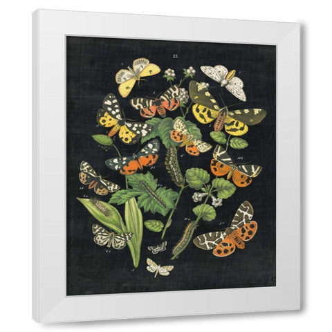Butterfly Bouquet on Black IV White Modern Wood Framed Art Print by Wild Apple Portfolio