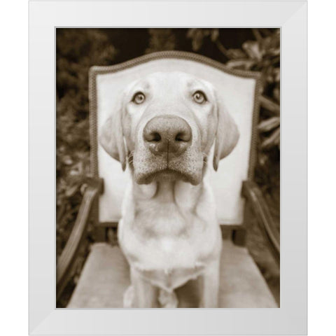 Sitting White Modern Wood Framed Art Print by Dratfield, Jim