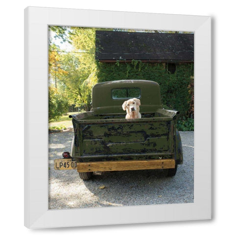 Get Out of Dodge Hunter Green White Modern Wood Framed Art Print by Dratfield, Jim