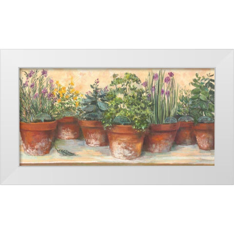 Country Herbs White Modern Wood Framed Art Print by Rowan, Carol