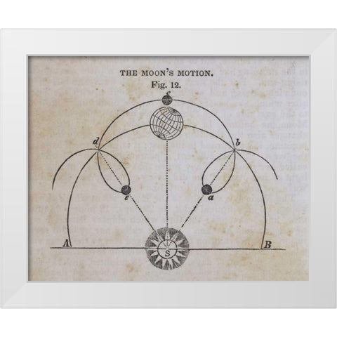 Geography of the Heavens VIII White Modern Wood Framed Art Print by Wild Apple Portfolio