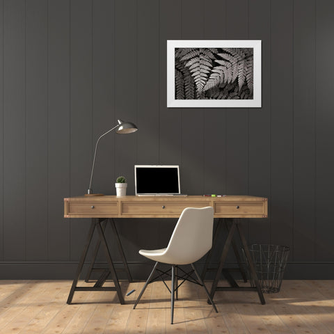 Lady Fern II White Modern Wood Framed Art Print by Audit, Lisa
