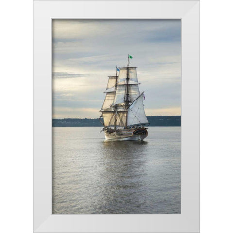 Lady Washington I White Modern Wood Framed Art Print by Majchrowicz, Alan