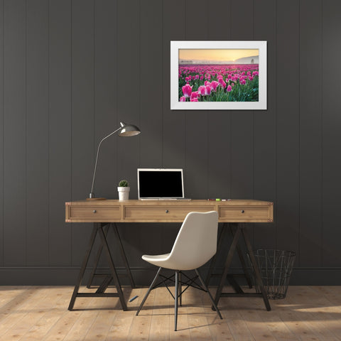 Skagit Valley Tulips I White Modern Wood Framed Art Print by Audit, Lisa