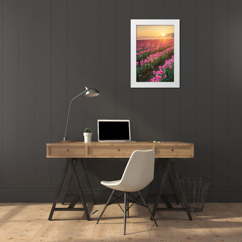 Skagit Valley Tulips II White Modern Wood Framed Art Print by Audit, Lisa