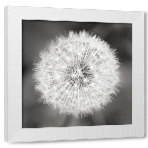 Dandelion Seedhead White Modern Wood Framed Art Print by Audit, Lisa
