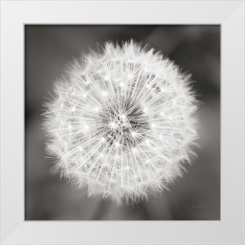 Dandelion Seedhead White Modern Wood Framed Art Print by Audit, Lisa
