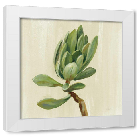 Front Yard Succulent III White Modern Wood Framed Art Print by Vassileva, Silvia