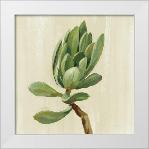 Front Yard Succulent III White Modern Wood Framed Art Print by Vassileva, Silvia