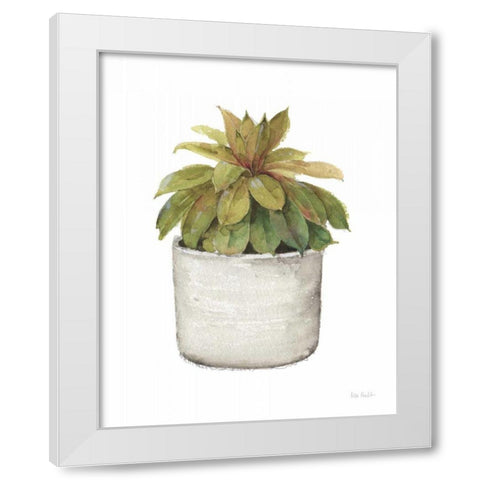 Mixed Greens Succulent III White Modern Wood Framed Art Print by Audit, Lisa