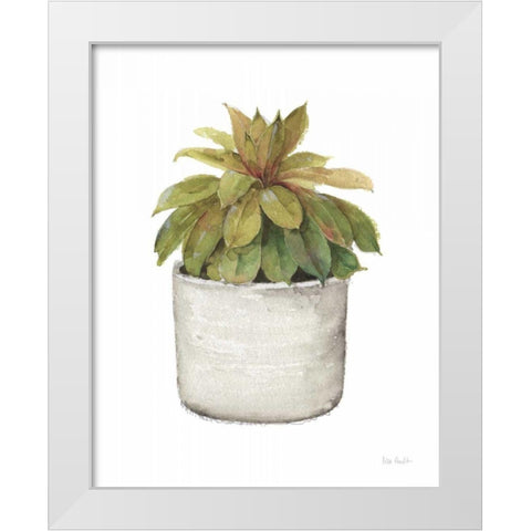 Mixed Greens Succulent III White Modern Wood Framed Art Print by Audit, Lisa