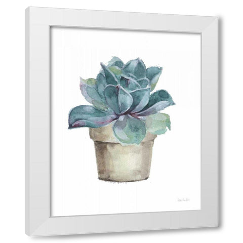 Mixed Greens Succulent IV White Modern Wood Framed Art Print by Audit, Lisa