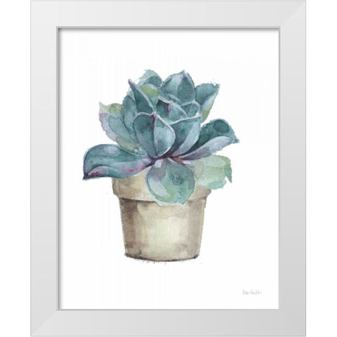 Mixed Greens Succulent IV White Modern Wood Framed Art Print by Audit, Lisa