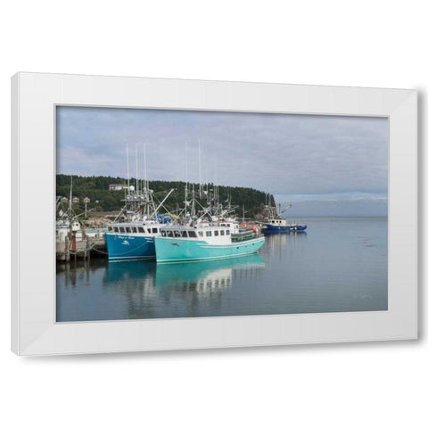 Bay of Fundy I White Modern Wood Framed Art Print by Majchrowicz, Alan