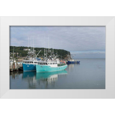 Bay of Fundy I White Modern Wood Framed Art Print by Majchrowicz, Alan