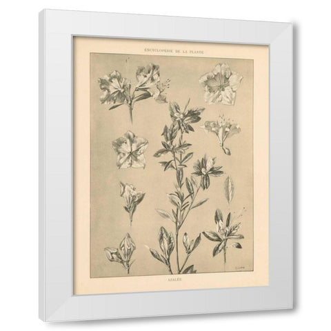Lithograph Florals I White Modern Wood Framed Art Print by Wild Apple Portfolio