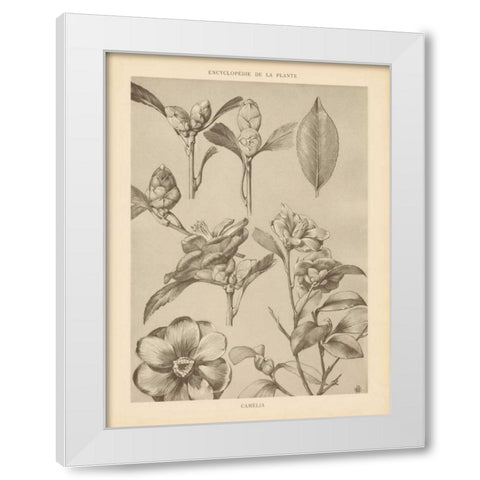 Lithograph Florals II White Modern Wood Framed Art Print by Wild Apple Portfolio