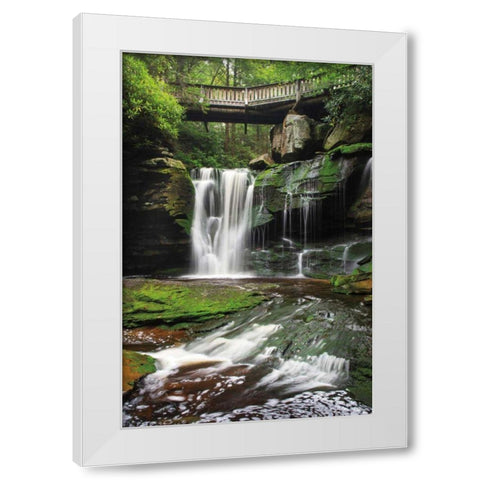 Elakala Falls West I White Modern Wood Framed Art Print by Majchrowicz, Alan