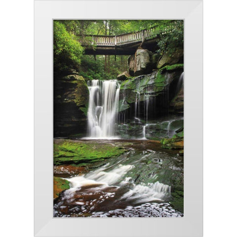 Elakala Falls West I White Modern Wood Framed Art Print by Majchrowicz, Alan