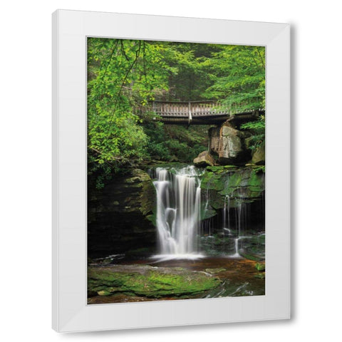 Elakala Falls West II White Modern Wood Framed Art Print by Majchrowicz, Alan