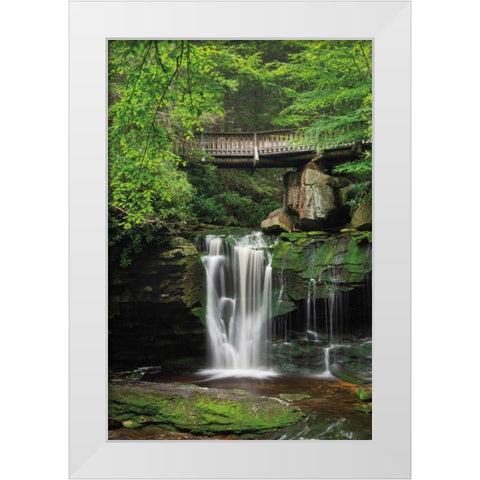 Elakala Falls West II White Modern Wood Framed Art Print by Majchrowicz, Alan