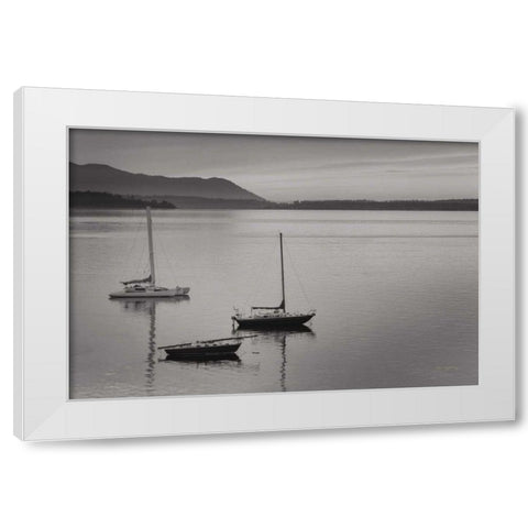 Bellingham Bay BW White Modern Wood Framed Art Print by Majchrowicz, Alan
