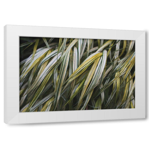 Leafy III White Modern Wood Framed Art Print by Urquhart, Elizabeth