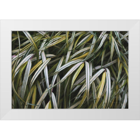 Leafy IV White Modern Wood Framed Art Print by Urquhart, Elizabeth