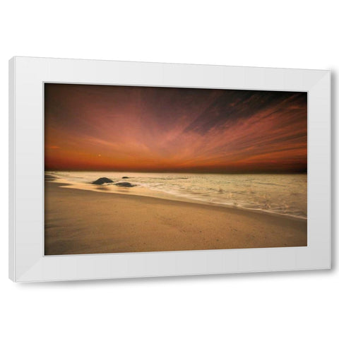 Marthas Vineyard Beach III White Modern Wood Framed Art Print by Aledanda