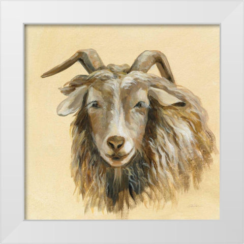 Highland Animal Sheep White Modern Wood Framed Art Print by Vassileva, Silvia