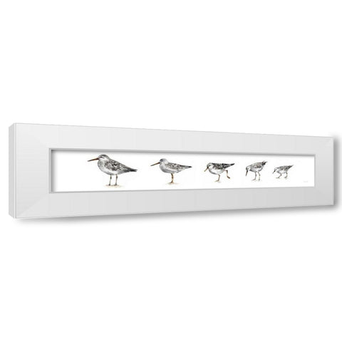 Pebbles and Sandpipers IX Gray No Words Border White Modern Wood Framed Art Print by Audit, Lisa