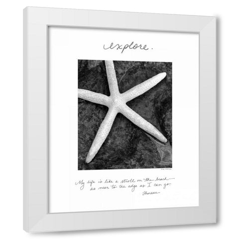 Explore White Modern Wood Framed Art Print by Van Swearingen, Debra