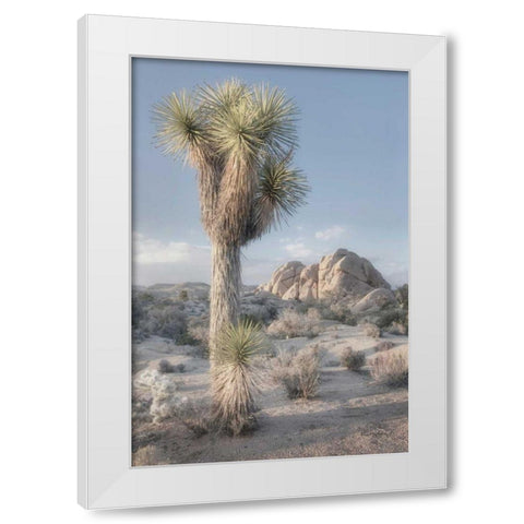 Joshua Tree National Park I White Modern Wood Framed Art Print by Majchrowicz, Alan