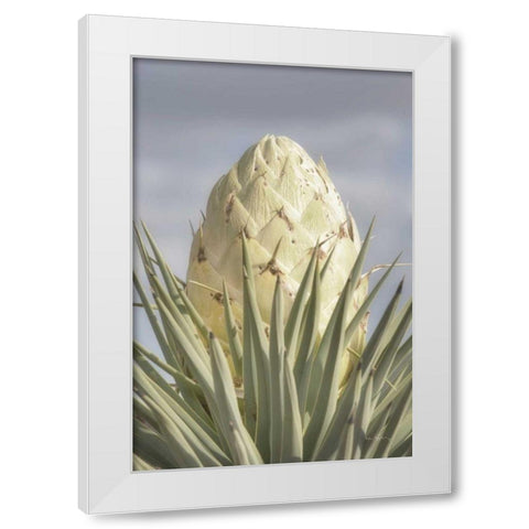 Joshua Tree White Modern Wood Framed Art Print by Majchrowicz, Alan