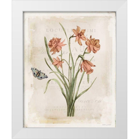Antiquarian Blooms V White Modern Wood Framed Art Print by Pertiet, Katie