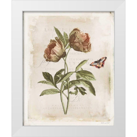 Antiquarian Blooms VI White Modern Wood Framed Art Print by Pertiet, Katie