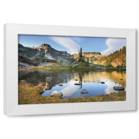 Heather Meadows in Autumn White Modern Wood Framed Art Print by Majchrowicz, Alan