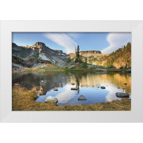 Heather Meadows in Autumn White Modern Wood Framed Art Print by Majchrowicz, Alan