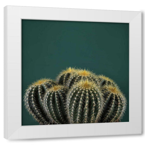 Cacti I White Modern Wood Framed Art Print by Eichman, Andre