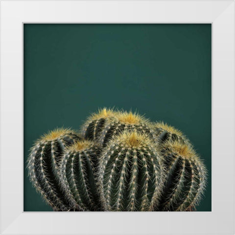 Cacti I White Modern Wood Framed Art Print by Eichman, Andre