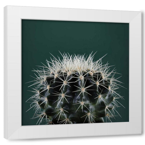 Cacti II White Modern Wood Framed Art Print by Eichman, Andre