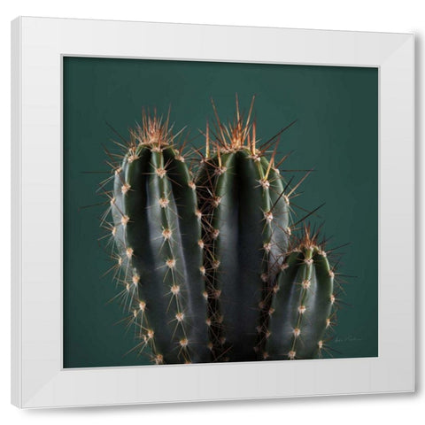 Cacti III White Modern Wood Framed Art Print by Eichman, Andre