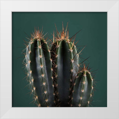 Cacti III White Modern Wood Framed Art Print by Eichman, Andre