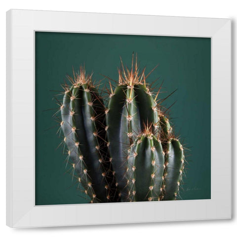 Cacti IV White Modern Wood Framed Art Print by Eichman, Andre