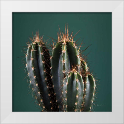 Cacti IV White Modern Wood Framed Art Print by Eichman, Andre