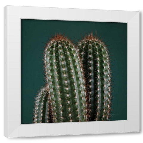 Cacti V White Modern Wood Framed Art Print by Eichman, Andre