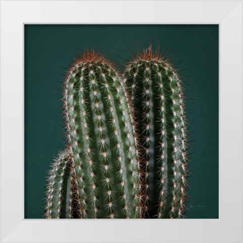 Cacti V White Modern Wood Framed Art Print by Eichman, Andre