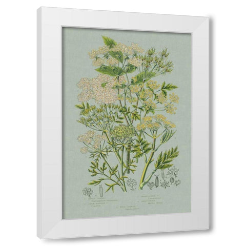 Flowering Plants III Green Linen White Modern Wood Framed Art Print by Wild Apple Portfolio