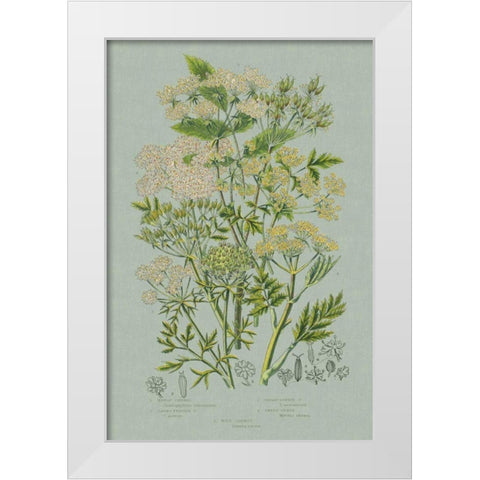 Flowering Plants III Green Linen White Modern Wood Framed Art Print by Wild Apple Portfolio