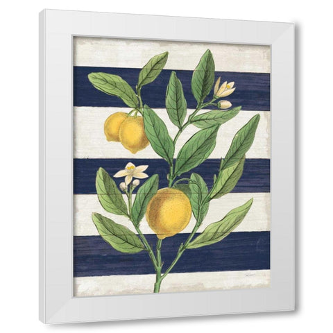 Classic Citrus V Navy Shiplap NW White Modern Wood Framed Art Print by Schlabach, Sue